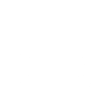 The ParchaOS passion-fruit logo